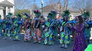 Durning String Band at the 2024 St Patrick’s Day Parade in Gloucester City NJ [upl. by Ayatnwahs987]