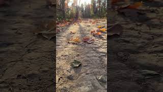 Autumn Hike at Cheltenham Badlands Ontario [upl. by Switzer105]