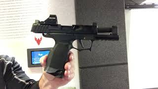 Achieve Your Dream Sig Sauer P365XL Custom Build with Expert Tips [upl. by Clabo208]