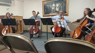 Vlog 21  Cello quintet Farewell to Stromness [upl. by Uball]