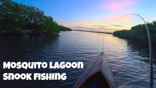 Kayak Snook Fishing Adventures around Edgewater [upl. by Rodmann]