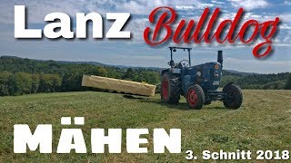 Lanz Bulldog Mähen  3 Schnitt 2018 D6516 [upl. by Aned]