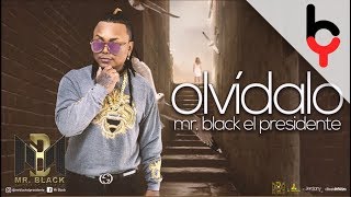 Mr Black  Olvidalo Audio [upl. by Cacilia]