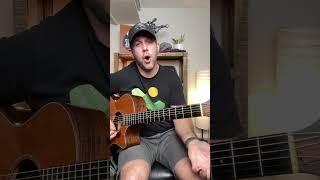 Master Open Chord Licks  C Major Guitar Lesson guitarlesson [upl. by Mathe211]