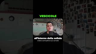 Vescicole cellulari tutti i tipi di endocitosi [upl. by Curzon]