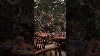 Rainforest Cafe Restaurant At Disney’s Animal Kingdom [upl. by Aicena]