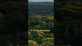 Top 6 largest Forests in the world 🌎Amazon top10 foryoupage❤️❤️ [upl. by Ecitsuj997]