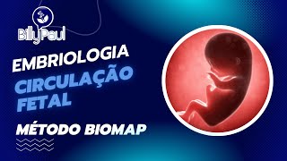 🔴 Circulação Fetal  Embriologia Aula6  Prof Billy Paul  MétodoBioMap  Download na Descrição [upl. by Aikyn]