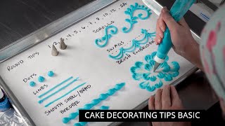 Ultimate Cake Decorating Piping Tips Buying Guide  Cake Decorating For Beginners [upl. by Scharaga]