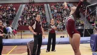 UWLa Crosse Gymnastics 2015 [upl. by Cooper]