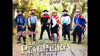 Mix Ft Los 7 Machos  Los Pincheira del Sur [upl. by Otreblasiul3]