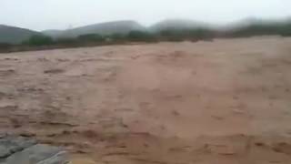 Dire dawa city flood [upl. by Onihc]