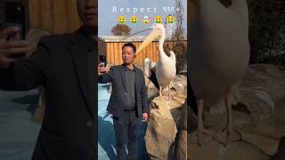 Mk respect ९९९short videos 😔respectamazing999 [upl. by Komsa480]