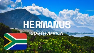 HERMANUS SOUTH AFRICA JEWEL OF THE WHALE COAST Travel Guide And Things To Do hermanus [upl. by Ramhaj]