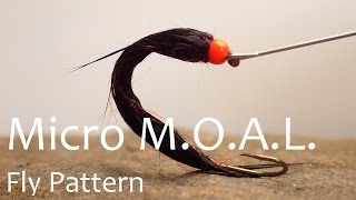 Micro MOAL Leech Fly Pattern [upl. by Inajna]