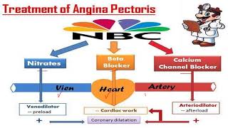 Lecture 4 Antianginal drugs Karmalawy [upl. by Ramsa]