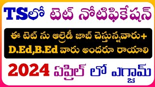 TS TET 2024ts tetTelangana tet 2024ts tet notification detailsts tet classes previous papertet [upl. by Berga]