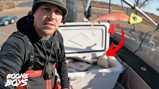 The Small Baits Did The Trick  Oklahoma Winter Deadstick Fishing [upl. by Fairleigh]