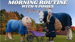 AUTUMN FALL MORNING ROUTINE WITH 4 PONIES [upl. by Bob]