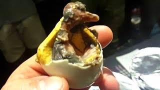 Eating Balut For The First Time [upl. by Pomcroy]