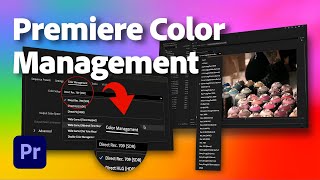 Premiere Color Management  Whats New in Premiere Pro beta  Adobe Video [upl. by Avika]