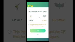 100IV cutiefly on first encounter 😎 and evolution shiny pokemongo rareshiny pokemon 100ivshiny [upl. by Arraik349]