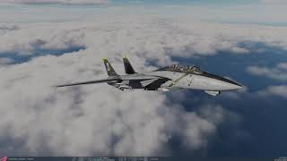 DCS  F14  massive bomber interception [upl. by Gibbie571]