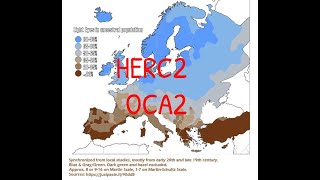 The Origins Of Blue Eyes OCA2HERC2 phylogenetic tree [upl. by Scot]