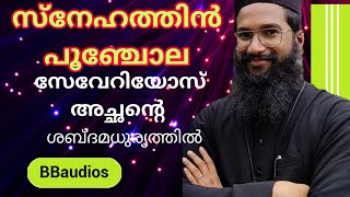 FR SEVERIOS snehathin poonjola സ്നേഹത്തിന്‍ പൂഞ്ചോല  BB AUDIOS REMIX severios achan song [upl. by Yntrok]