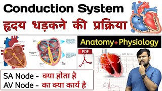 हृदय धड़कन  Heart Conductive System  Anatomy and Physiology  Anatomy in hindi  Physiology [upl. by Euqnimod]