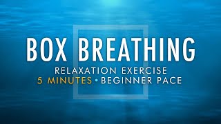 Box Breathing Relaxation Exercise  5 Minutes Beginner Pace  Anxiety Reduction Pranayama Technique [upl. by Pellet]