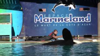 Marineland Antibes Orca Show 22 [upl. by Caitlin19]