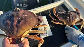 Whidbey Island Dungeness Crabbing views from Drone HD 1080p [upl. by Omrellug970]