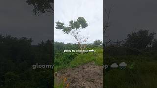 gloomy day at the hilltop 🌧️🍃☁️ [upl. by Queen]