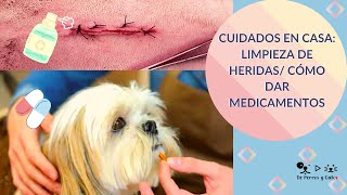 CUIDADOS EN CASA  LIMPIEZA DE HERIDAS Y CÓMO DAR MEDICAMENTOS [upl. by Goddard568]