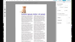 LucidPress tutorial How to fix problematic whitespace in a layout [upl. by Berg]