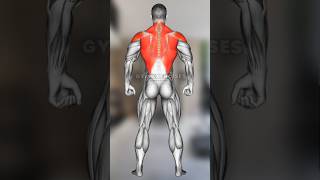 Build your back backexerciseswithdumbells backexercises back exercises  back workout [upl. by Alyakcim454]