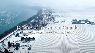 Inniskillin How Icewine Began in Canada [upl. by Chrisoula]