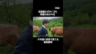 千年続く草原を守る牛飼い親子 農家 ドキュメンタリー shorts 千年草原 [upl. by Dnomasor775]