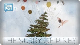 The Story of Pines from Alison Sudol  Participant Media  TakePart TV [upl. by Nofets]