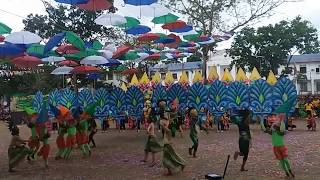 Bulawanong Ani Festival of Cataingan  Masbate Festival of Festivals 2018 [upl. by Ynohtnaed169]