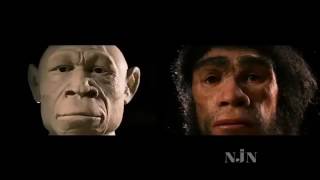 PBS Nova Documentary Collection Homo Sapiens The Birth of Humanity [upl. by Epstein]