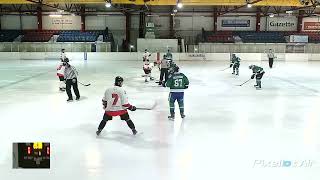 Basingstoke Buffalo vs Lee Valley Lions 10022024 [upl. by Lizned]