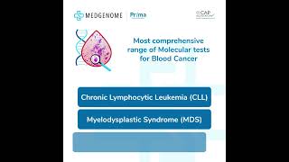 Molecular Tests for Blood Cancer [upl. by Drugi]