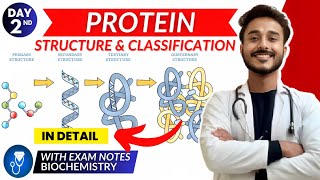 protein biochemistry  structure of protein biochemistry  classification of protein [upl. by Beane]