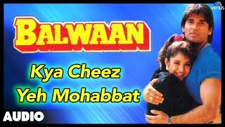 Balwaan  Kya Cheez Yeh Mohabbat Full Audio Song  Sunil Shetty Divya Bharti [upl. by Levine]