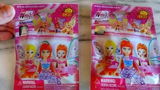 Winx Club Magic Fairy Friend Bricks Rare Figures Set Unboxing [upl. by Teresina]