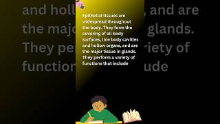 Epithelial tissue epithelial tissue definition epithelialtissue tissue definition youtubeshorts [upl. by Demetra600]