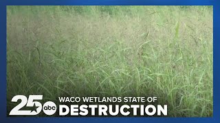 Lake Waco Wetlands in state of destruction as the area celebrates its 20th anniversary [upl. by Eeleak465]