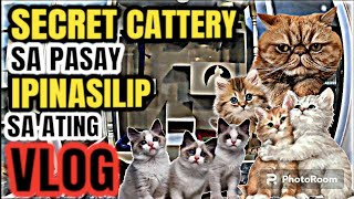 CARTIMAR PET CENTER UPDATE SECRET CATTERY DITO SA METRO MANILA SUPER QUALITY ANG PUSA vlog754 [upl. by Falito]